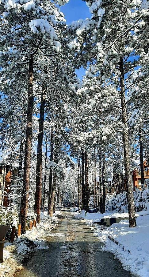 Apartment Erak Hill Zlatibor Eksteriør billede