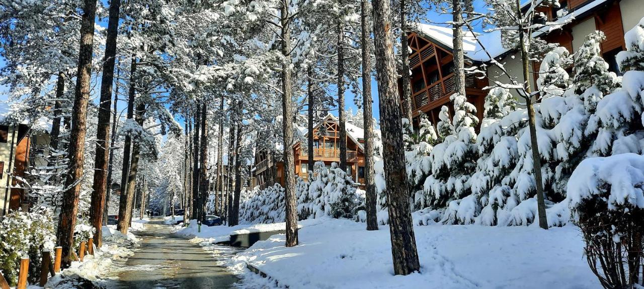 Apartment Erak Hill Zlatibor Eksteriør billede